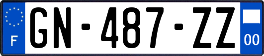 GN-487-ZZ