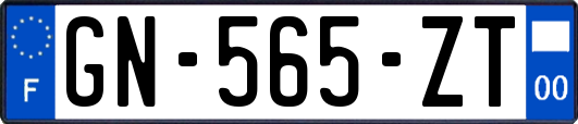 GN-565-ZT