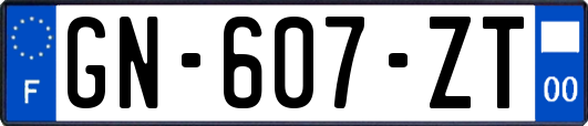 GN-607-ZT