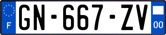 GN-667-ZV