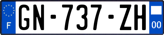 GN-737-ZH