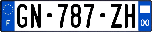 GN-787-ZH