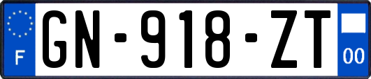 GN-918-ZT