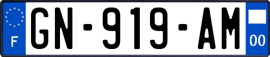 GN-919-AM