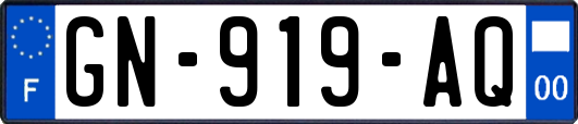 GN-919-AQ