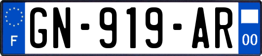 GN-919-AR