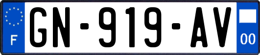 GN-919-AV