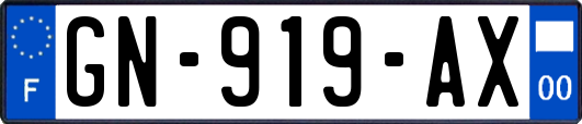 GN-919-AX