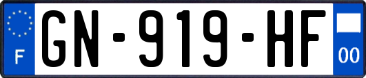 GN-919-HF