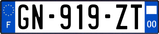 GN-919-ZT