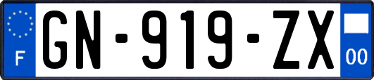 GN-919-ZX