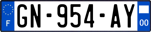 GN-954-AY