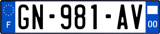 GN-981-AV