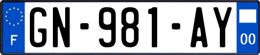 GN-981-AY