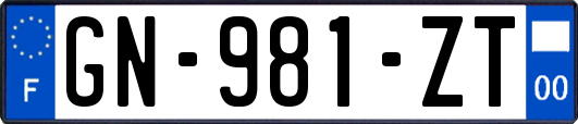 GN-981-ZT