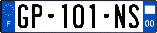 GP-101-NS