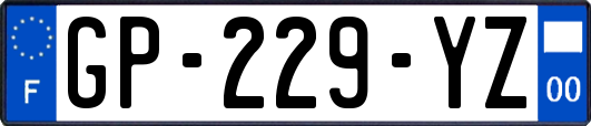 GP-229-YZ