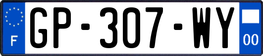 GP-307-WY