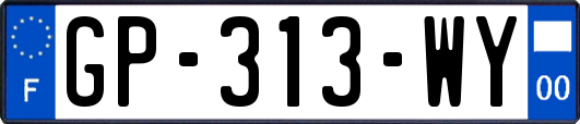 GP-313-WY