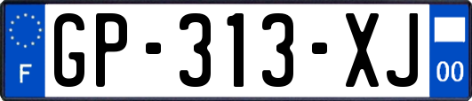 GP-313-XJ