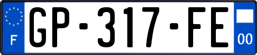 GP-317-FE