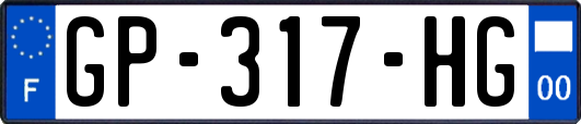 GP-317-HG