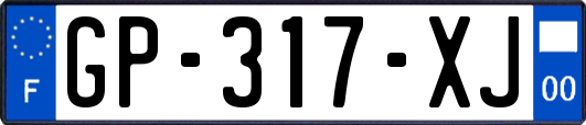 GP-317-XJ