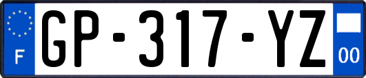 GP-317-YZ