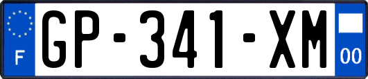 GP-341-XM