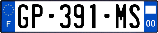 GP-391-MS