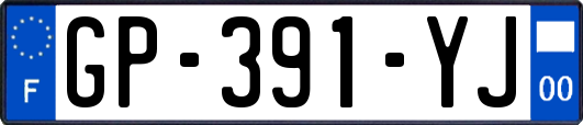 GP-391-YJ