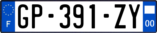 GP-391-ZY
