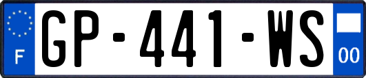 GP-441-WS