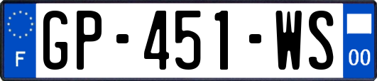 GP-451-WS