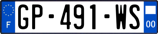 GP-491-WS