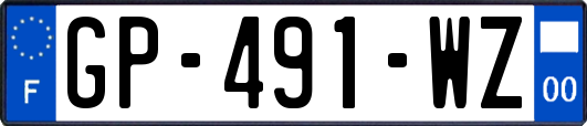 GP-491-WZ