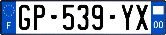 GP-539-YX