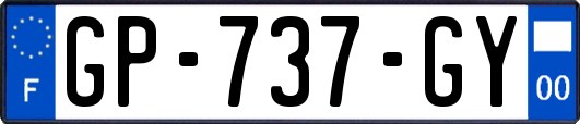 GP-737-GY
