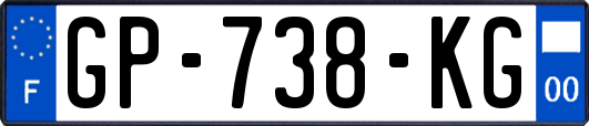 GP-738-KG