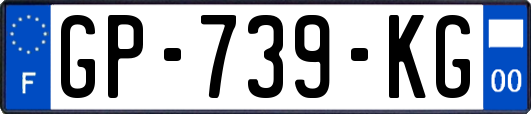 GP-739-KG