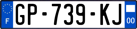 GP-739-KJ