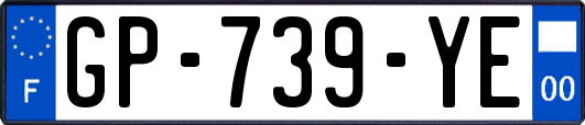 GP-739-YE