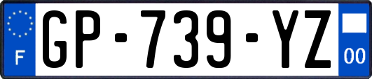 GP-739-YZ
