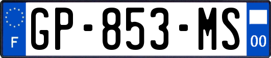 GP-853-MS