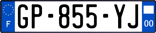 GP-855-YJ