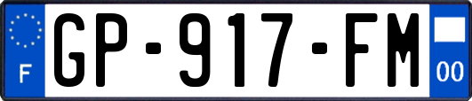 GP-917-FM