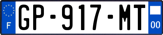 GP-917-MT