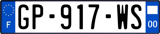 GP-917-WS