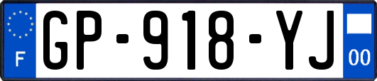 GP-918-YJ