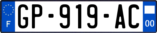 GP-919-AC
